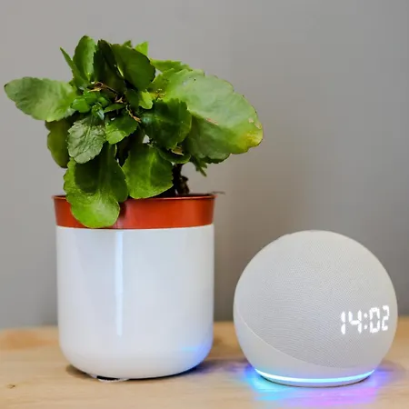 Casa Pisani 274 * Palermo